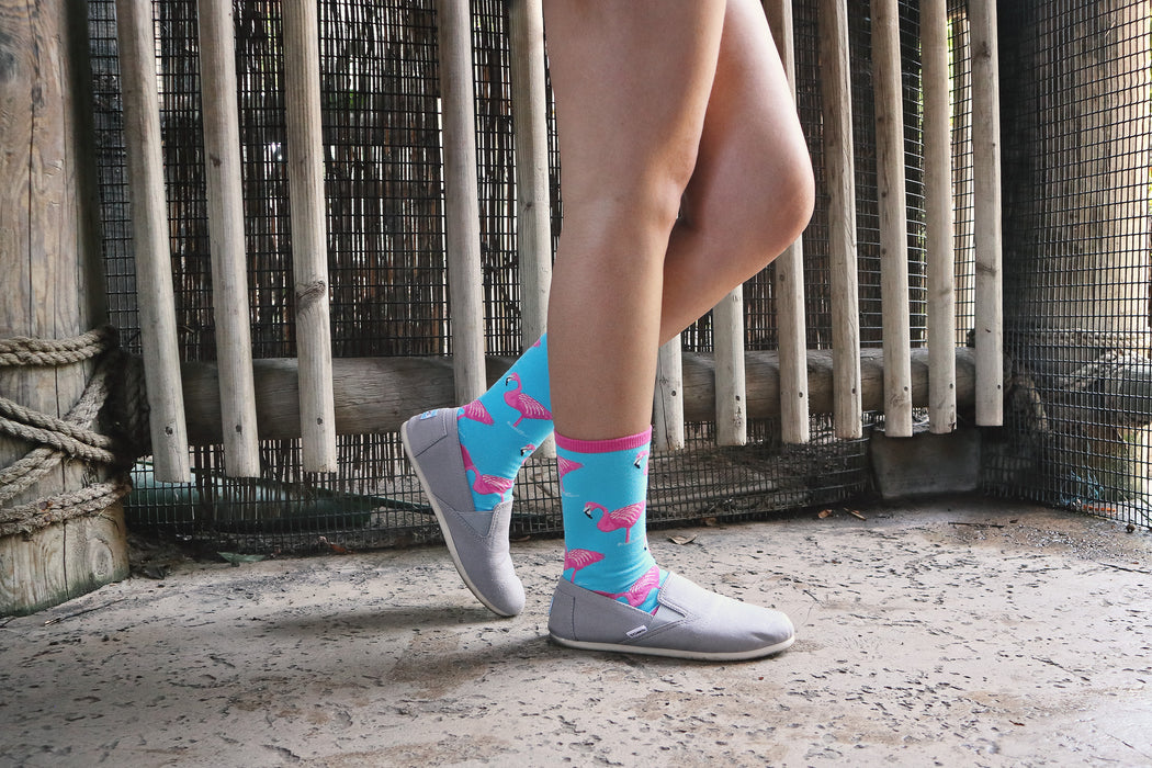A person is wearing gray slip-on shoes and blue socks with a pink flamingo pattern. The person is standing on a stone floor in front of a wooden fence.
