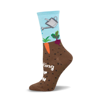 a brown sock with a light blue section showing a watering can watering a carrot and beet.  the words "planting for you" are on the bottom of the sock.