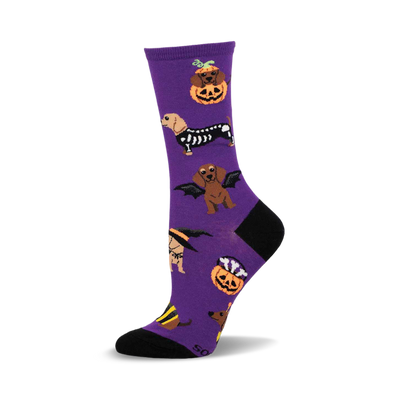 purple crew socks with a pattern of dachshunds dressed in halloween costumes.  the costumes include a witch, a skeleton, a vampire, and a pumpkin.