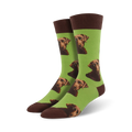 Lifestyle product shot showing the chocolate lab socks on a model's feet.