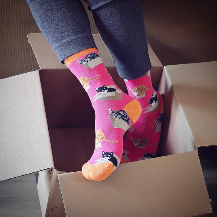 A person's feet are in a cardboard box. The person is wearing pink socks with a pattern of black and orange cats. The person is wearing blue pants.