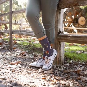 A person wearing white sneakers and blue socks with a pattern of chickens on them is standing on a rocky path next to a wooden fence. The person is wearing khaki pants and the image is taken from the knees down.