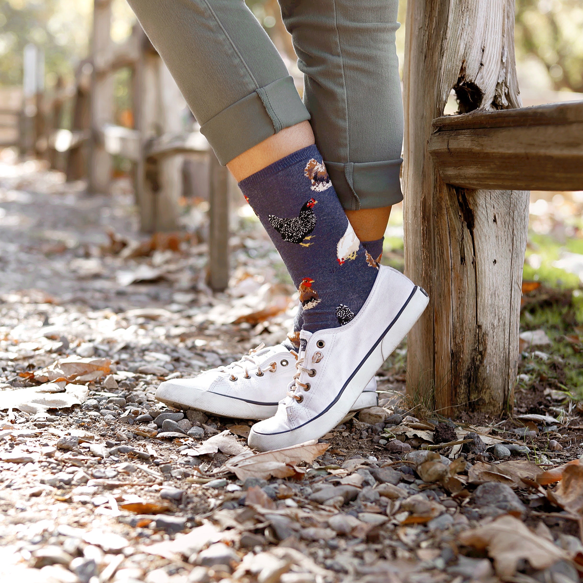 Lifestyle shot of woman's legs wearing the navy blue chicken socks with white canvas shoes. [lf]