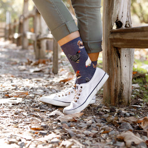 A person wearing white sneakers and blue socks with a pattern of chickens on them is standing on a rocky path next to a wooden fence. The person is wearing khaki pants and the image is taken from the knees down.