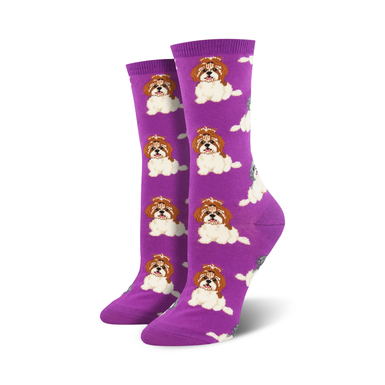 Lifestyle shot of model wearing purple Shih Tzu socks.