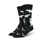 Pair of crew socks; black and teal sharks swimming on black or royal blue background. Fun and playful design.