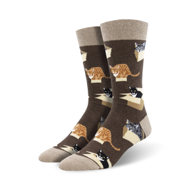 cat in a box cat themed mens brown novelty crew socks