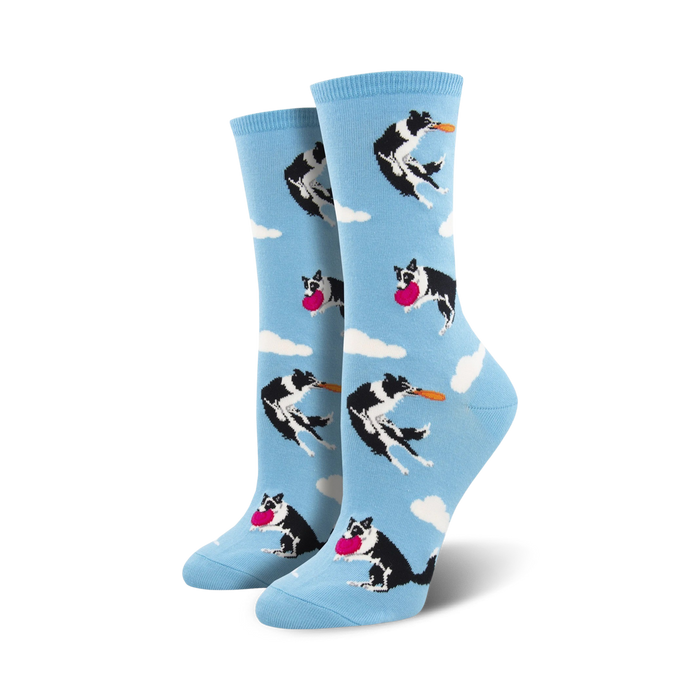 blue crew socks with black and white border collies jumping to catch pink frisbees.  