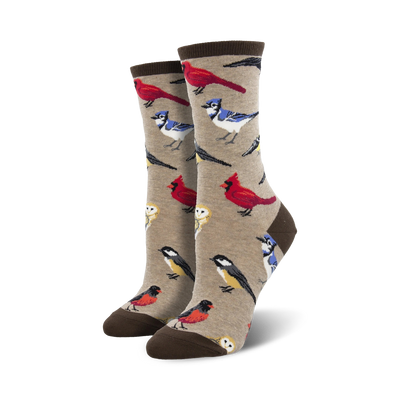 crew length, tan women's novelty socks featuring various bird species.  