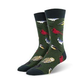 crew length men's socks with a colorful pattern of cardinals, blue jays, owls, and chickadees on a dark green background.  