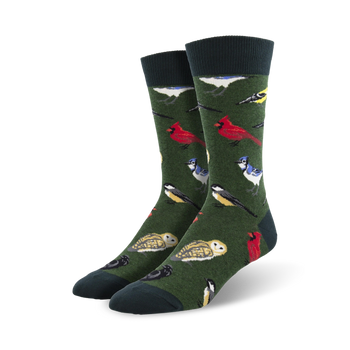 crew length men's socks with a colorful pattern of cardinals, blue jays, owls, and chickadees on a dark green background.  