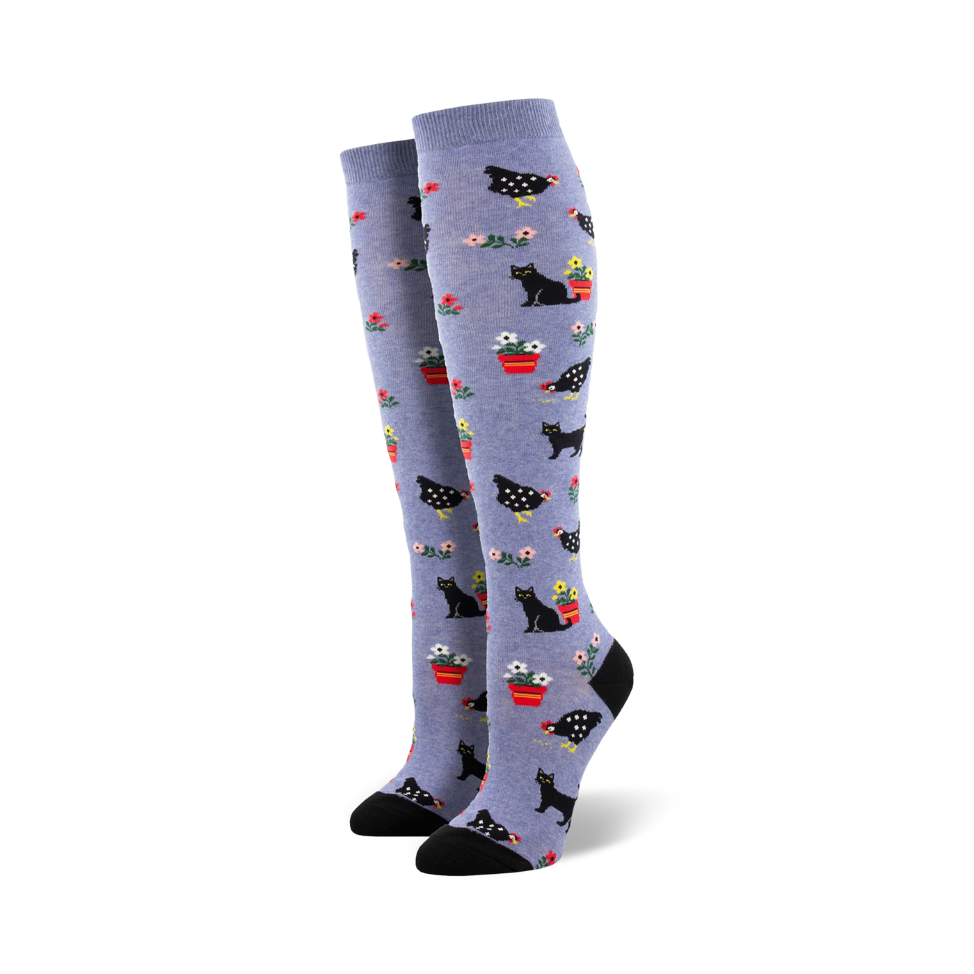 Pair of women's knee-high socks in periwinkle blue. The socks feature a whimsical design of black cats, chickens, and flowers in red pots.