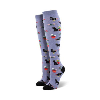 blue knee-high women's socks with a pattern of black cats and red chickens.  