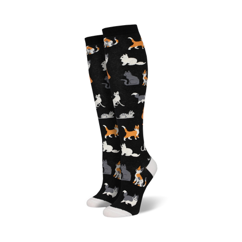Pair of black knee-high socks with a pattern of cute cats in orange, grey, and white.  A fun and whimsical design.
