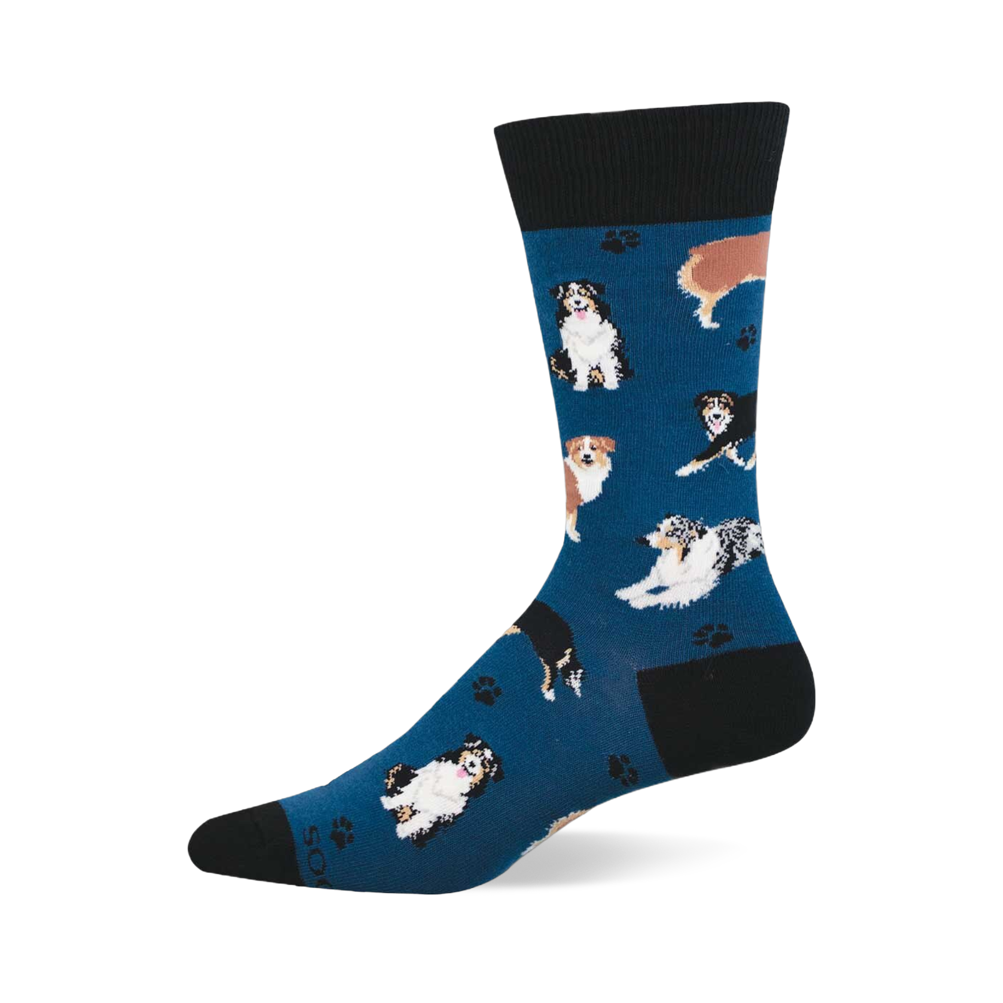 Blue crew socks with multiple Australian Shepherd dogs in different poses and small black paw prints. Black cuff, heel, and toe.