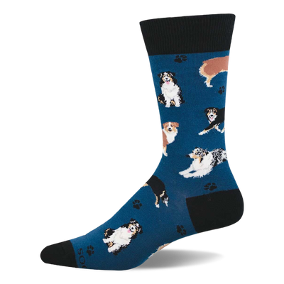 Blue crew socks with multiple Australian Shepherd dogs in different poses and small black paw prints. Black cuff, heel, and toe.
