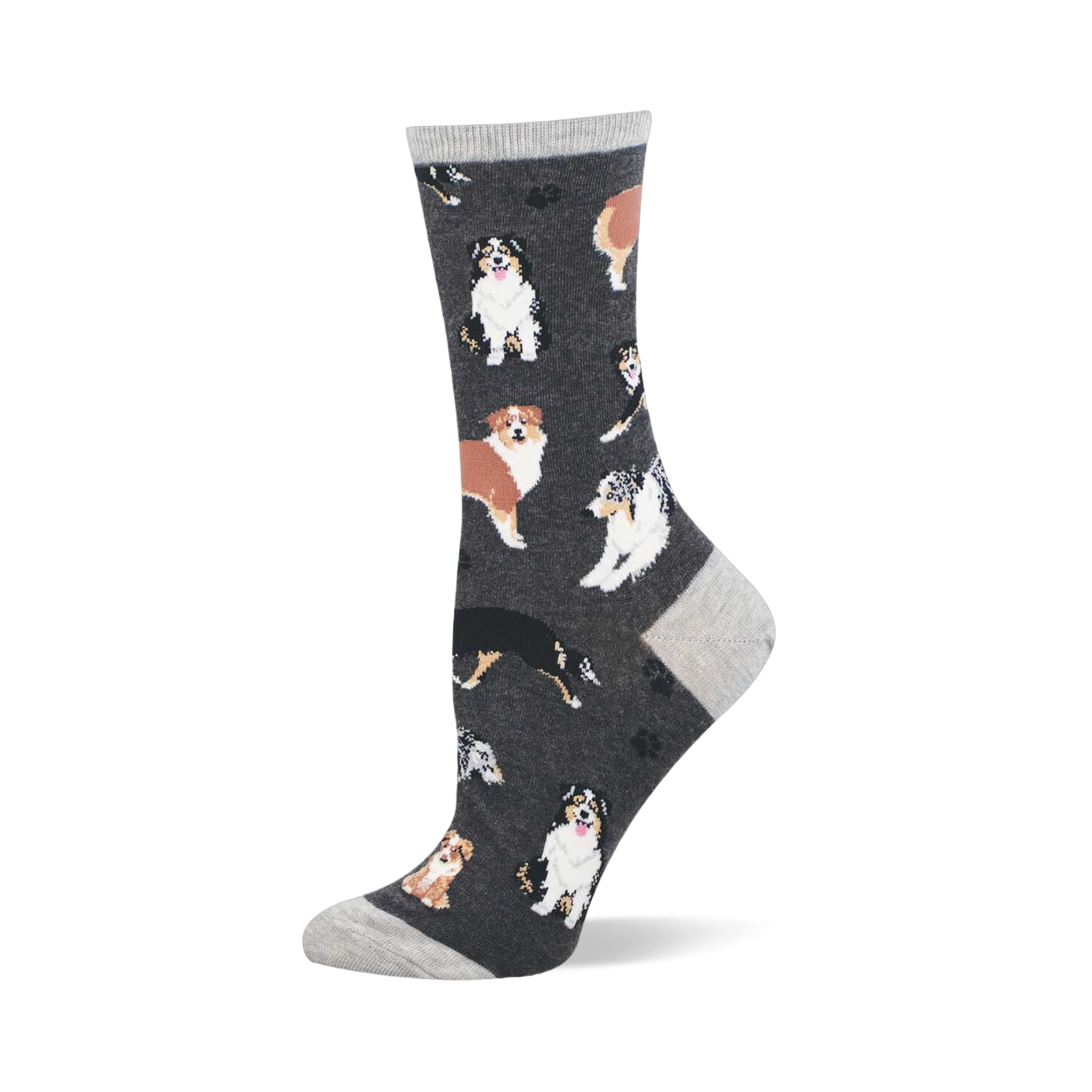 Crew sock with tricolor and brown Australian Shepherds and paw prints on a dark gray background. Light gray cuff, heel, and toe.