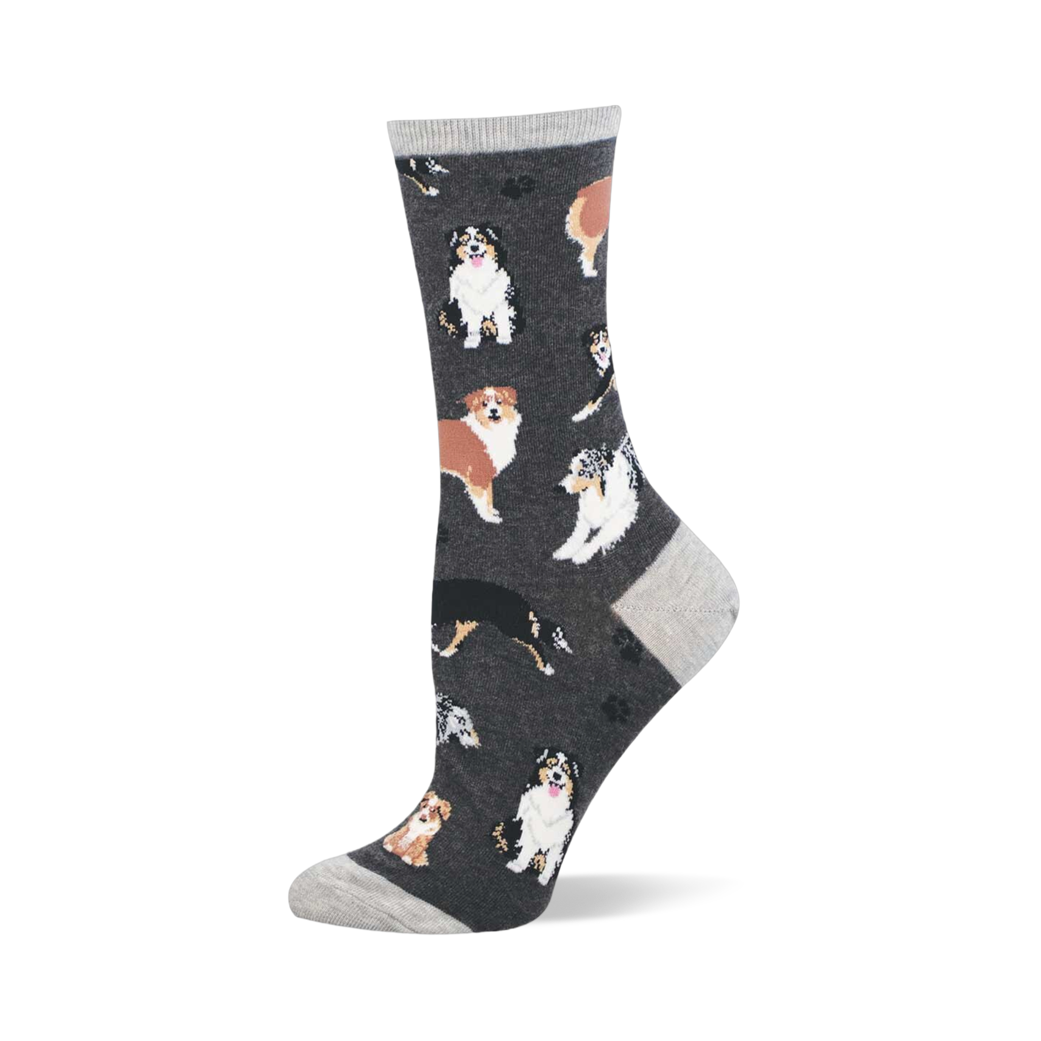 Crew sock with tricolor and brown Australian Shepherds and paw prints on a dark gray background. Light gray cuff, heel, and toe.