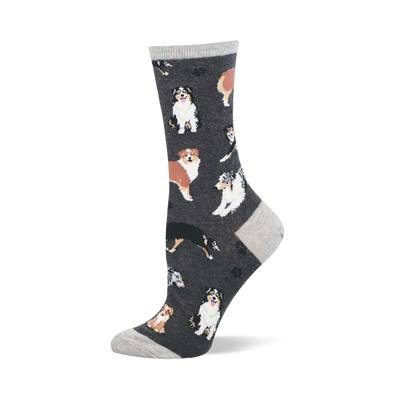 Crew sock with tricolor and brown Australian Shepherds and paw prints on a dark gray background. Light gray cuff, heel, and toe.