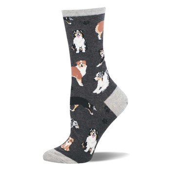 Crew sock with tricolor and brown Australian Shepherds and paw prints on a dark gray background. Light gray cuff, heel, and toe.