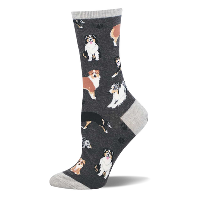 Crew sock with tricolor and brown Australian Shepherds and paw prints on a dark gray background. Light gray cuff, heel, and toe.