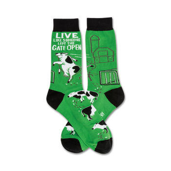 green crew socks with black toes and heels featuring a pattern of cows jumping over a fence. "live like someone left the gate open" text at sock tops.  