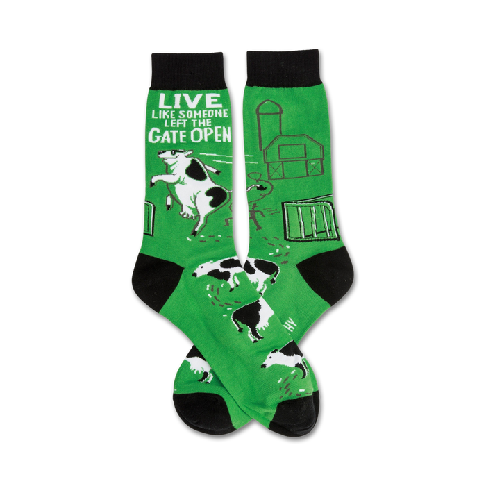 green crew socks with black toes and heels featuring a pattern of cows jumping over a fence. 