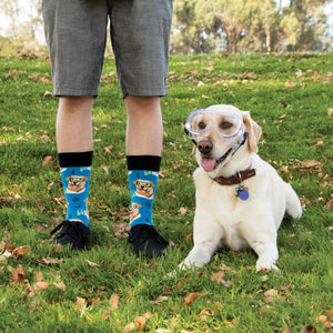 A man in plaid shirt and grey shorts stands on a grassy lawn beside a yellow Labrador wearing safety goggles, his Blue Science Lab socks featuring goggled lab dog prints visible above black sneakers. [lf]