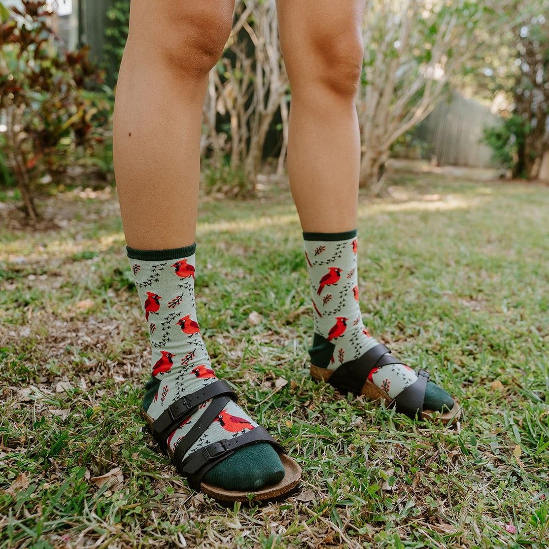 Calf-down view of two legs planted on grass in sport sandals, showing Cardinal Tracks socks in Mint patterned with small red cardinals. [lf]