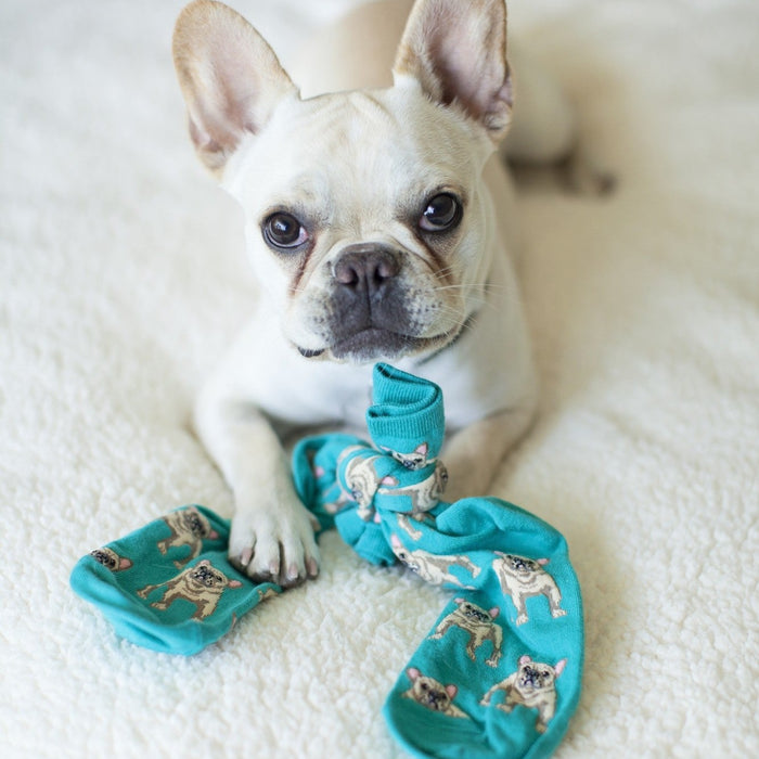 A pair of Frenchie socks crossed on a sofa beside a snoozing Frenchie. [lf]