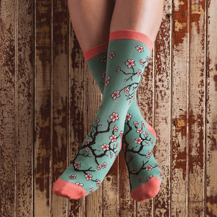 A close-up of Bamboo Cherry Blossoms socks featuring delicate cherry-blossom illustrations, on a person beneath a flowering tree. [lf]