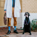 A close-up of The Dogtor Is In socks in Blue on a person walking a dog past a veterinary clinic sign. [lf]