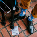 A pair of The Dogtor Is In socks in Blue resting on a clinic exam table beside a chart and pen. [lf]