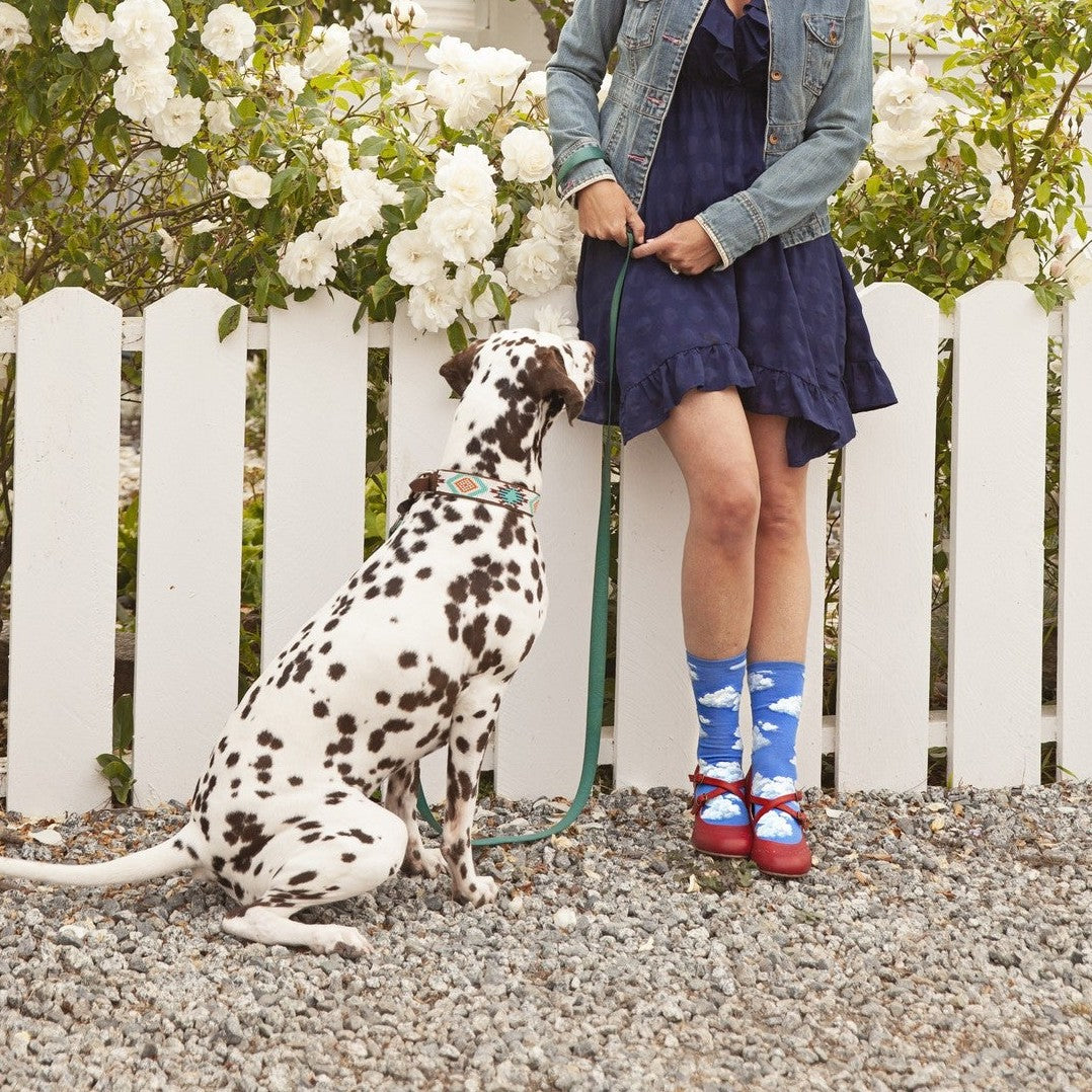 A woman in a navy dress holds her dalmatian on a leash beside white roses, wearing Slightly Cloudy blue cloud-print socks with bright red platform sandals. [lf]