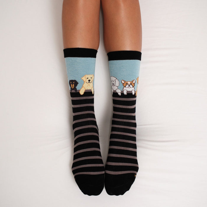 A product flat-lay of Dog Gone Stripes Bamboo socks showcasing the striped knit and dog characters at the cuff. [lf]