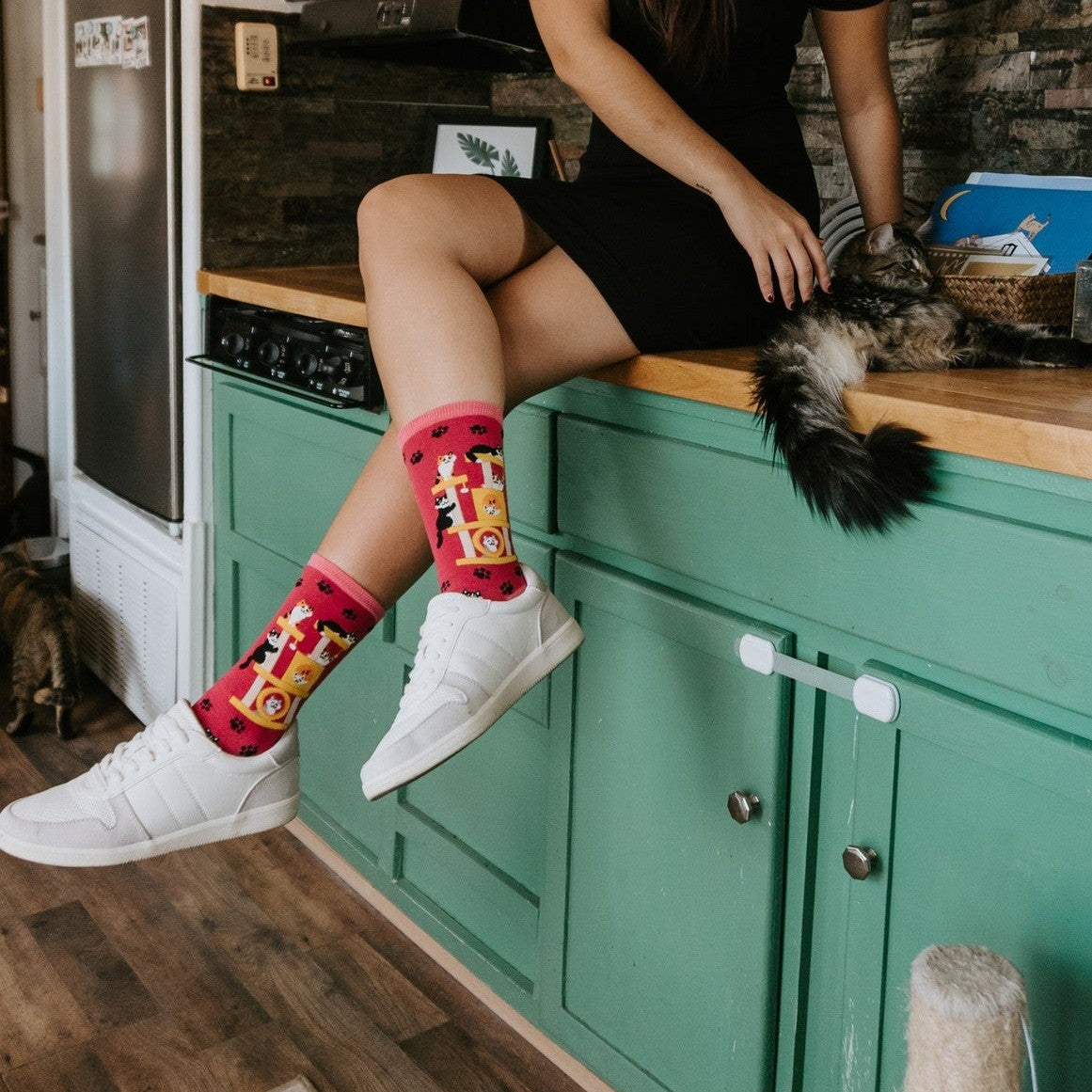 Woman sits on a green kitchen counter petting a long-haired tabby cat, a striped kitten on the floor nearby, while wearing Cool Cats Club socks in Pink. [lf]