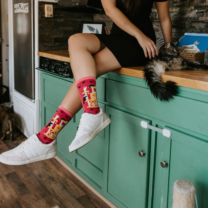 Woman sits on a green kitchen counter petting a long-haired tabby cat, a striped kitten on the floor nearby, while wearing Cool Cats Club socks in Pink. [lf]