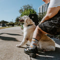 [lf] Sploot