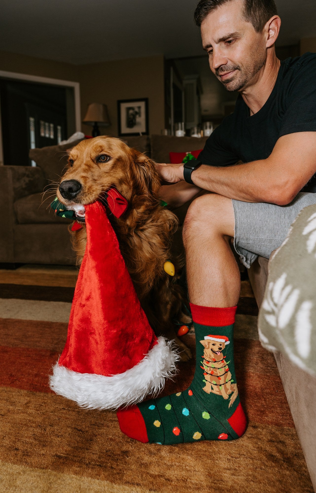[lf] Dog Gone Lights