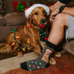 [lf] Dog Gone Lights