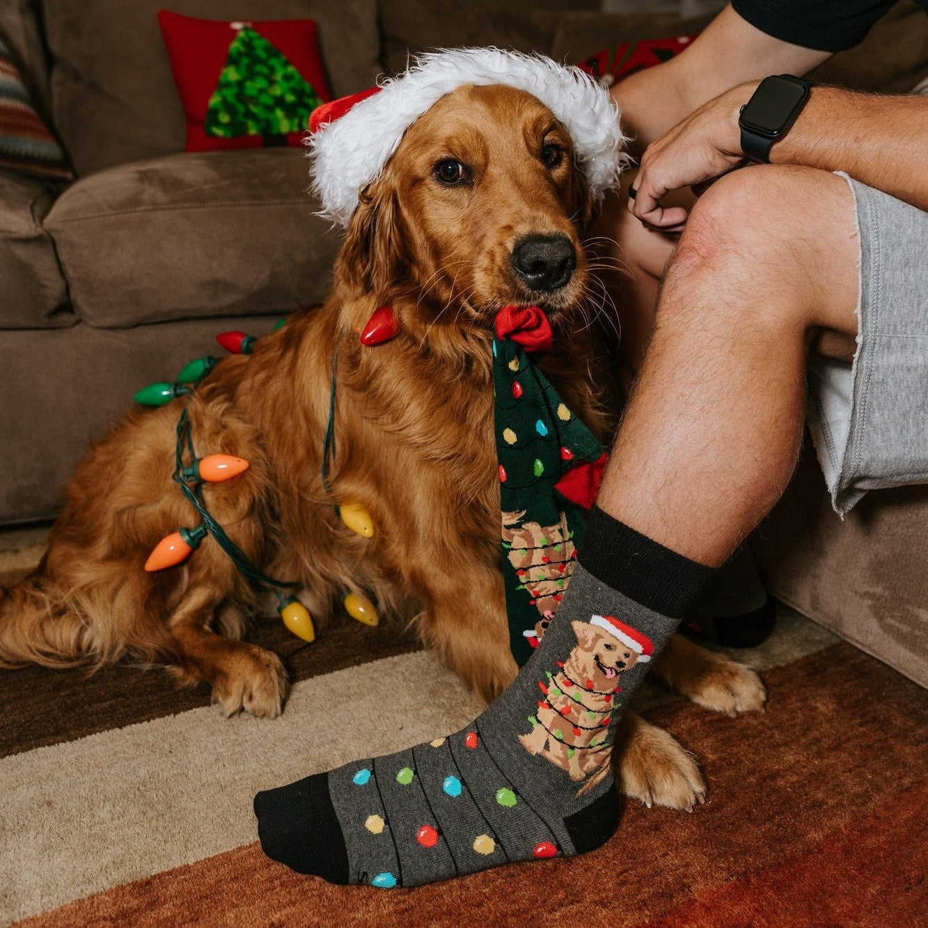 [lf] Dog Gone Lights