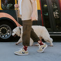 [lf] Who's A Good Boy?