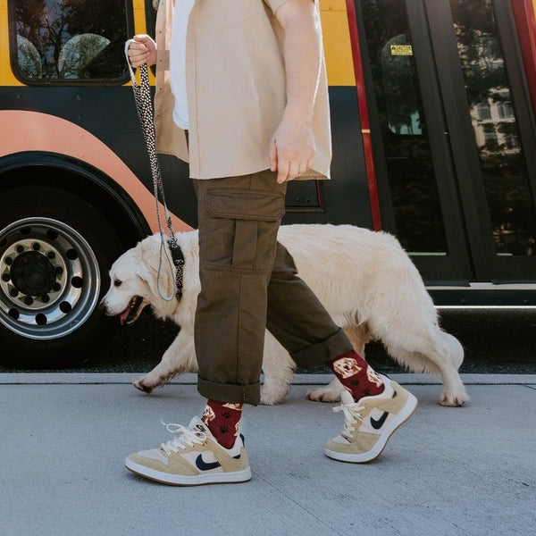 [lf] Who's A Good Boy?