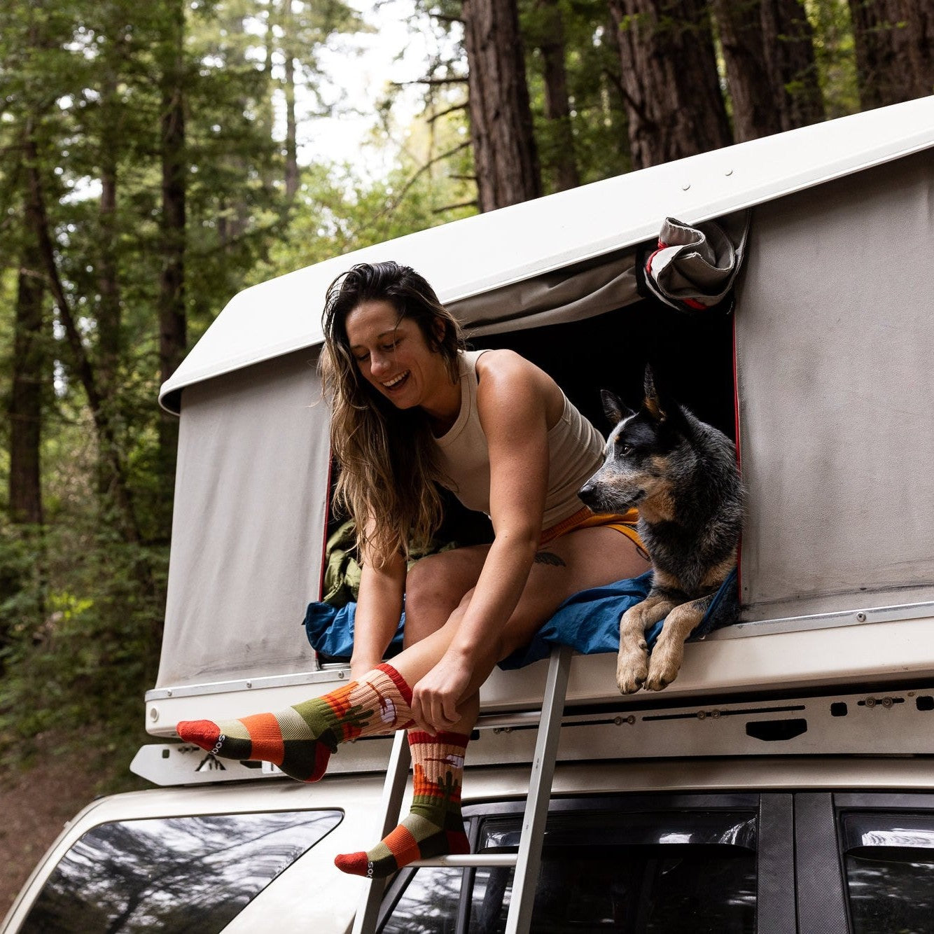[lf] Desert Plains