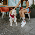 [lf] Loving Labradors Bamboo