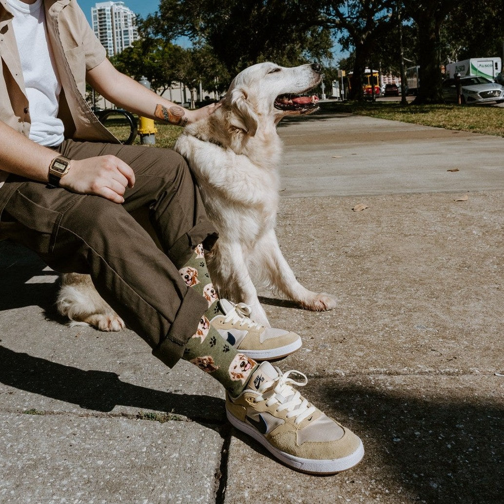 [lf] Who's A Good Boy?