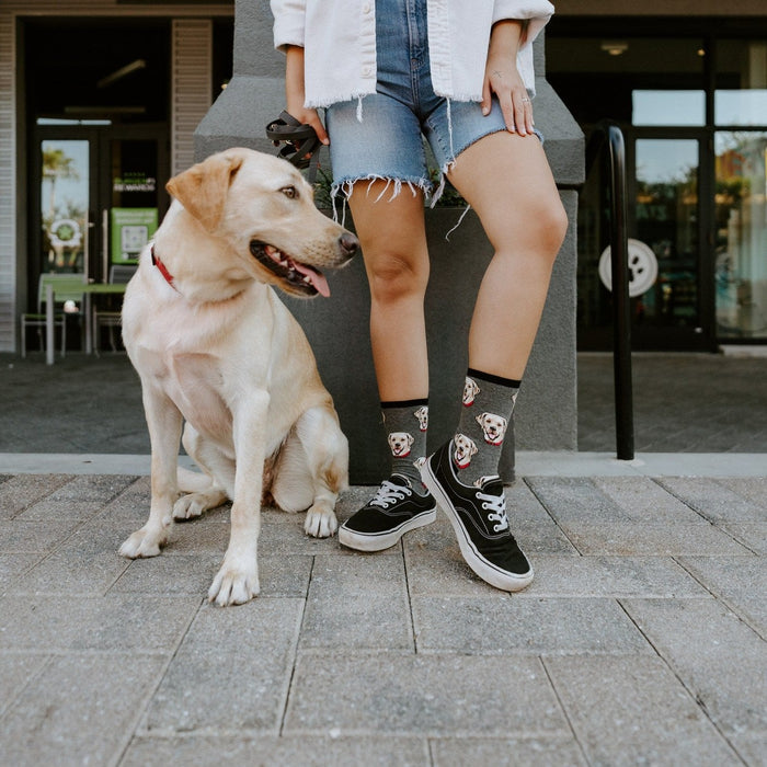 [lf] Labrador