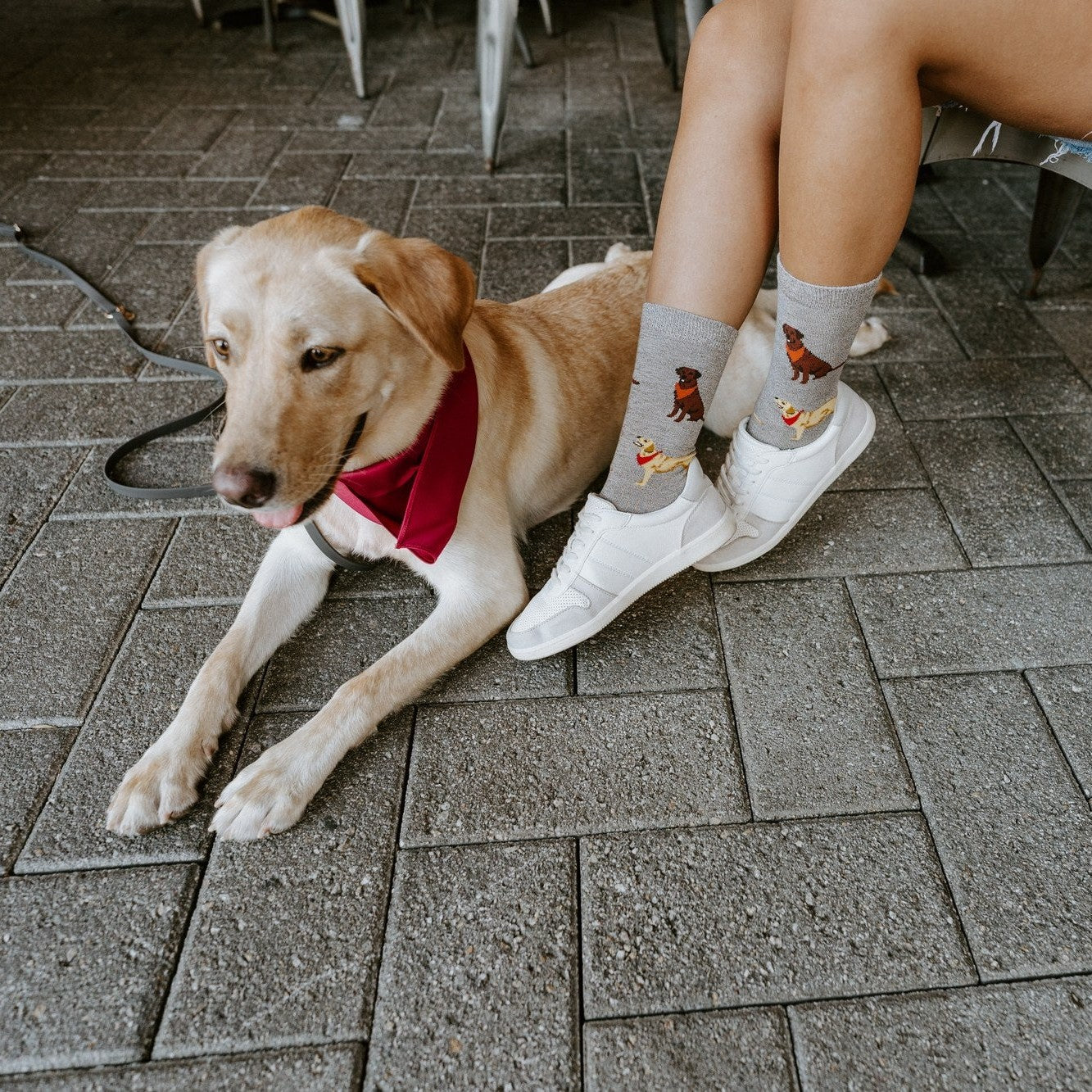 [lf] Loving Labradors Bamboo