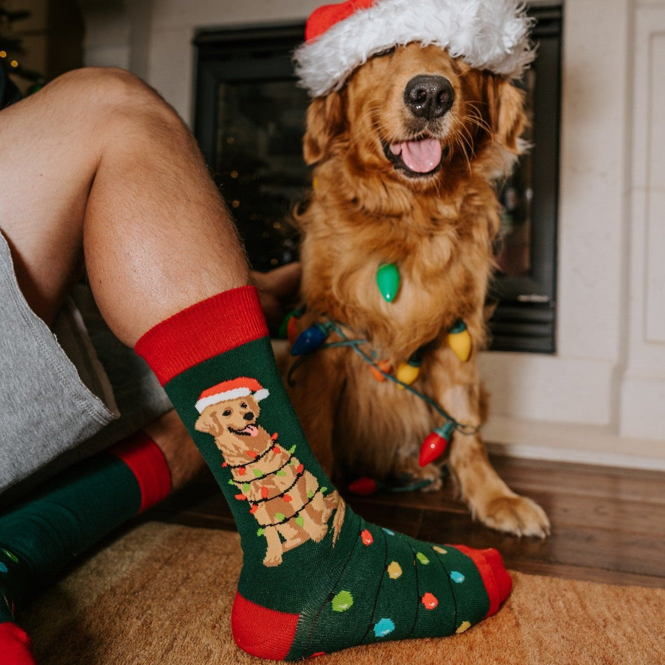 [lf] Dog Gone Lights