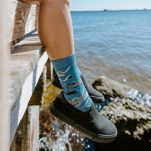 [lf] Whale Shark